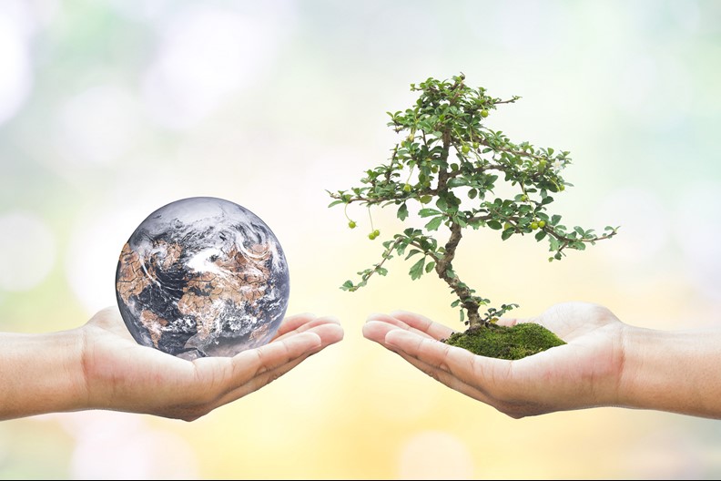 Environmental & Ethical Concerns