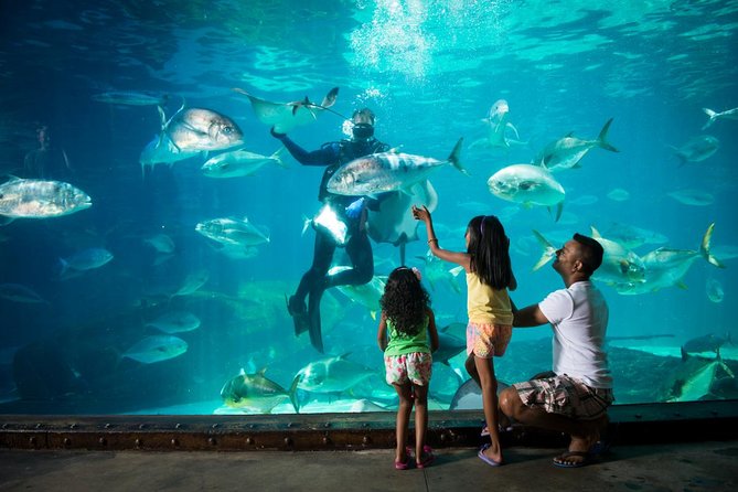 Water-based experiences
